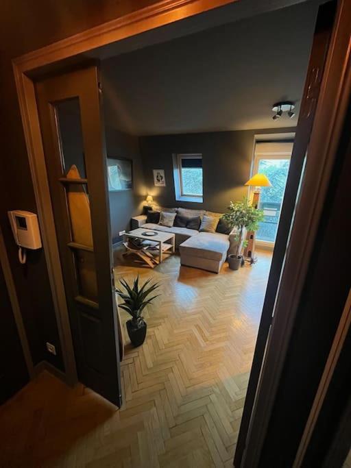 Appartement Cosy Le Chesnay Ле-Шене Екстер'єр фото